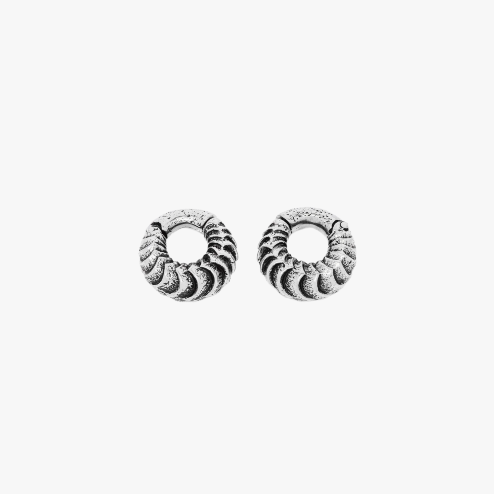 AARO — Silver-tone ear or septum weights